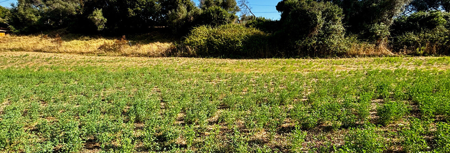 Terrain  1200 m² à vendre à Bastelicaccia (20129)