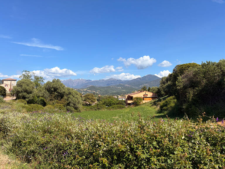 À vendre - Terrain constructible 3600m² à Bastelicaccia (Fontanaccio) - Vue montagnes — photo 1