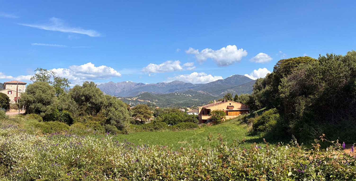 À vendre - Terrain constructible 3600m² à Bastelicaccia (Fontanaccio) - Vue montagnes — photo 1