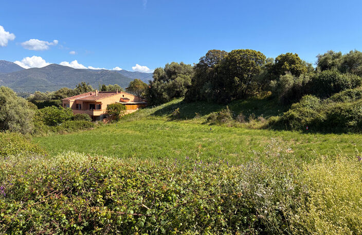 À vendre - Terrain constructible 3600m² à Bastelicaccia (Fontanaccio) - Vue montagnes — photo 2