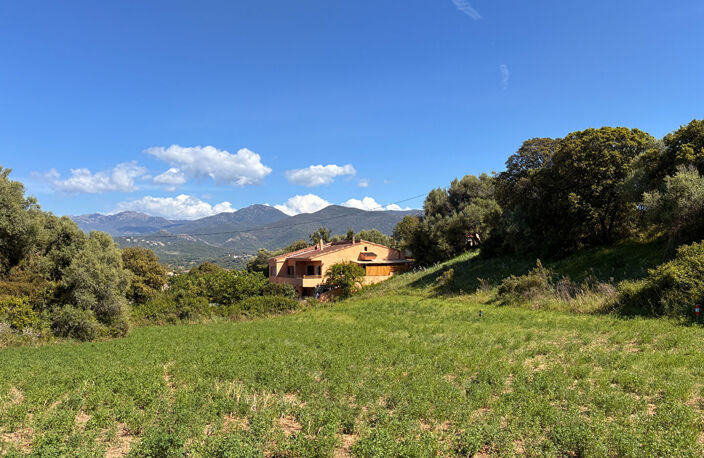 À vendre - Terrain constructible 3600m² à Bastelicaccia (Fontanaccio) - Vue montagnes — photo 3