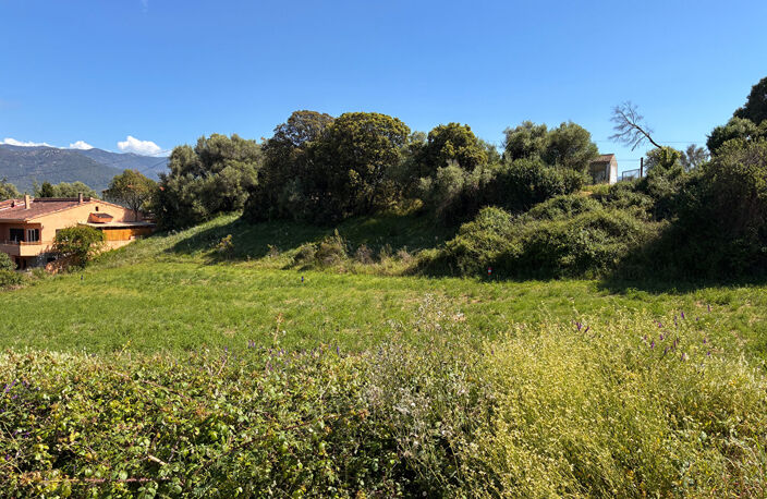 À vendre - Terrain constructible 3600m² à Bastelicaccia (Fontanaccio) - Vue montagnes — photo 4