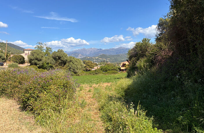 À vendre - Terrain constructible 3600m² à Bastelicaccia (Fontanaccio) - Vue montagnes — photo 5