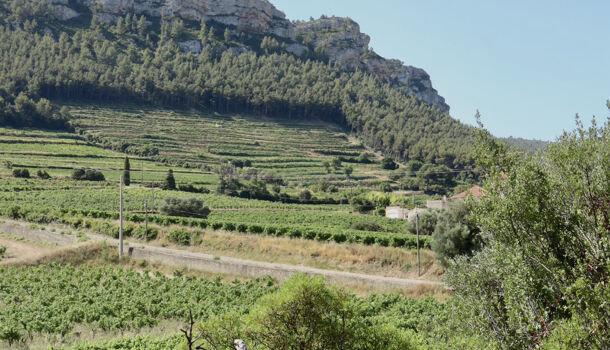 Villa / Maison 3 pièces  à vendre Cassis 13260