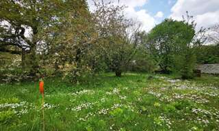 Terrain  967 m² à vendre à Paron (89100)