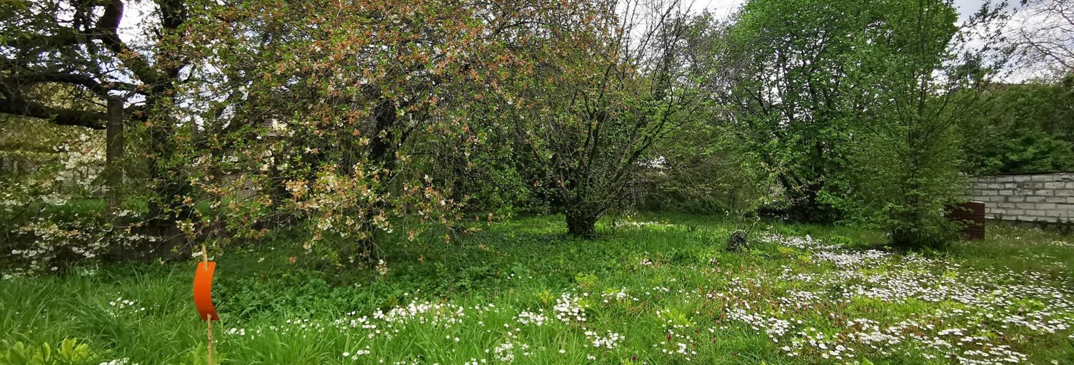 Terrain  967 m² à vendre à Paron (89100)