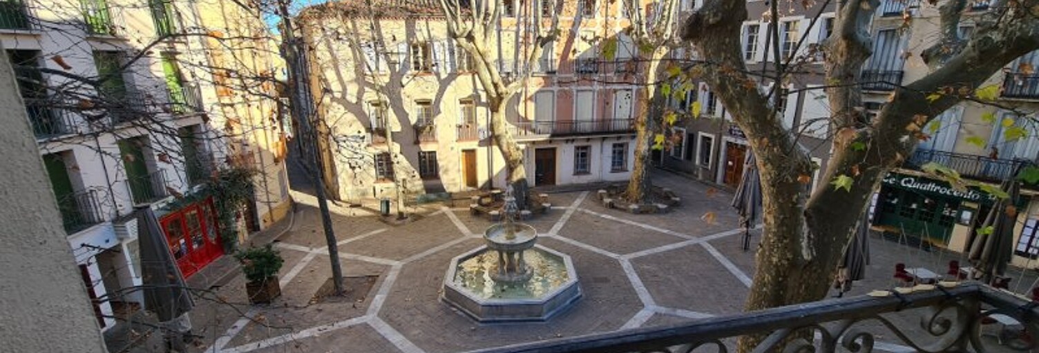 Maison 12 Pièces 350 m² à vendre à Céret (66400)