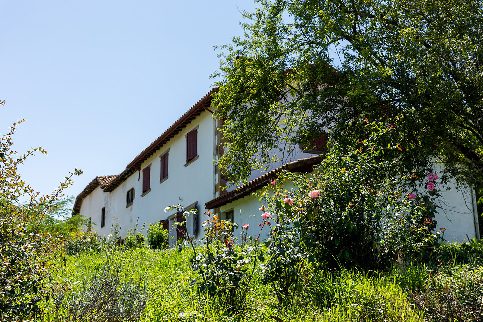 Villa / Maison 7 pièces  à vendre Saint-Palais 64120