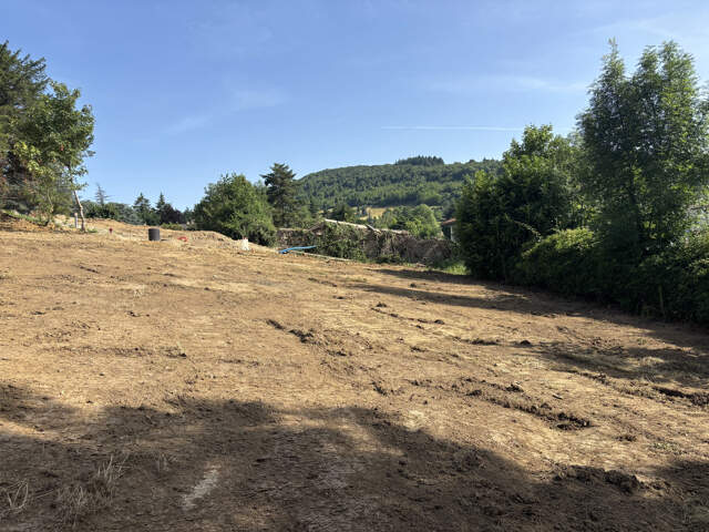 St Didier au Mont d'Or — photo du bien