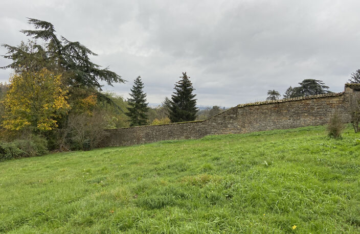 St Didier au Mont d'Or — photo 5