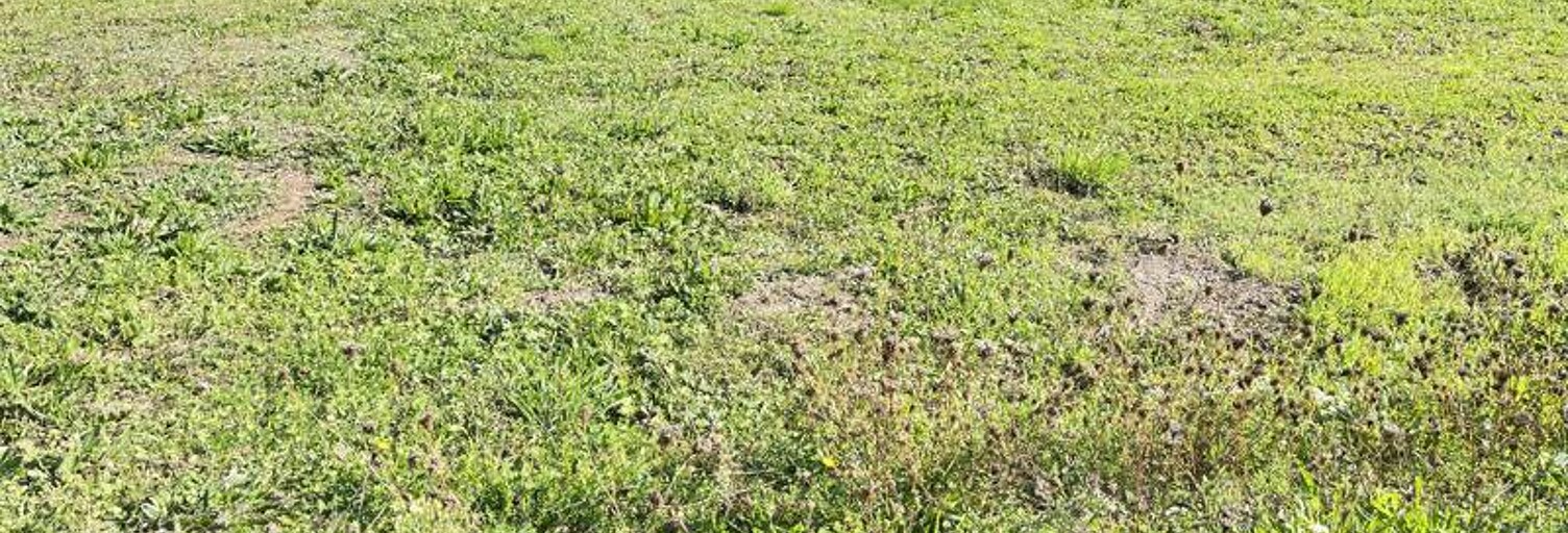 Terrain  1103 m² à vendre à Domérat (03410)