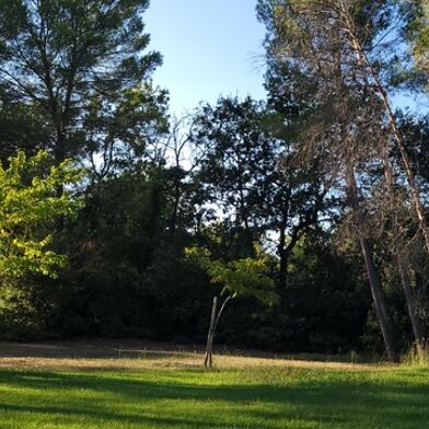 Maison 6 pièces 749000 €