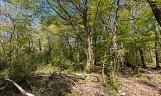 Terrain  8597 m² à vendre à Guignes (77390)