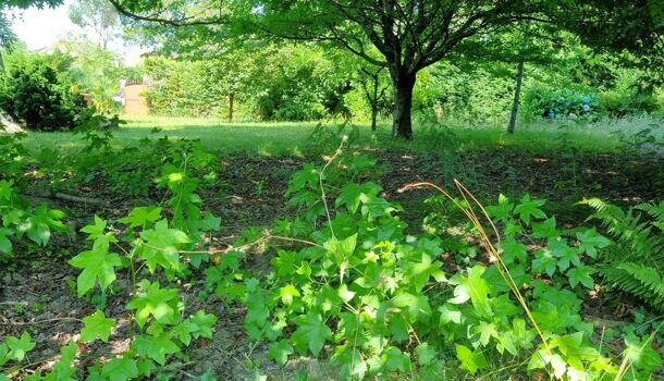 Villa / Maison 5 pièces  à vendre Idron 64320