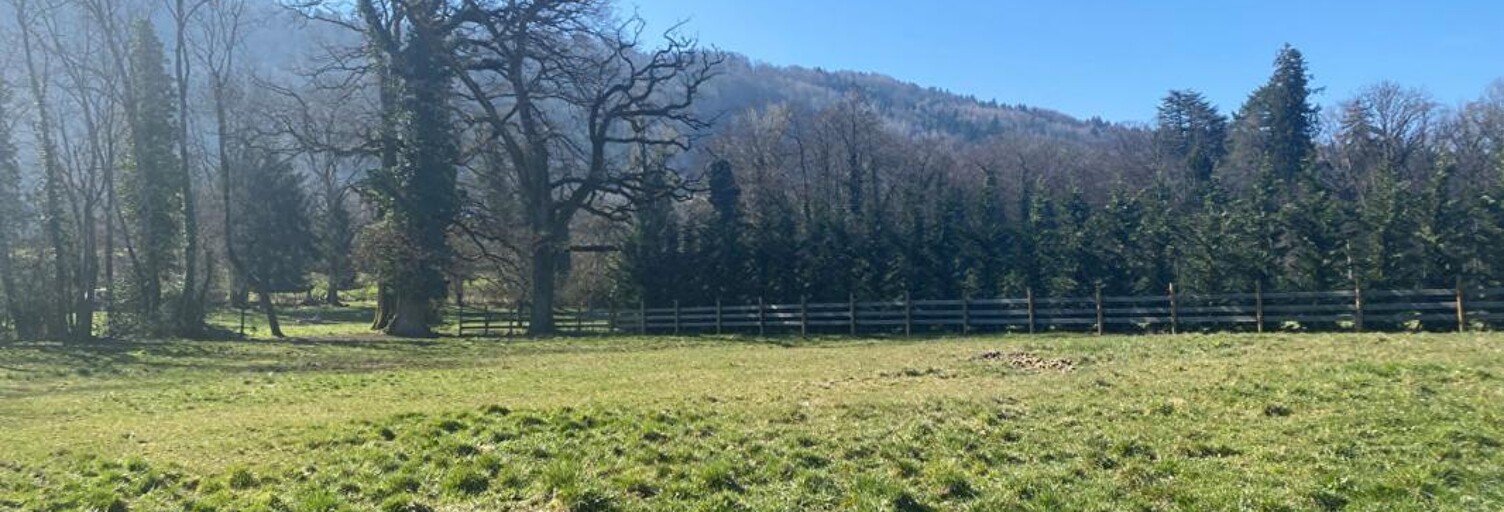 Maison 4 Pièces 85 m² à vendre à Thonon-les-Bains (74200)