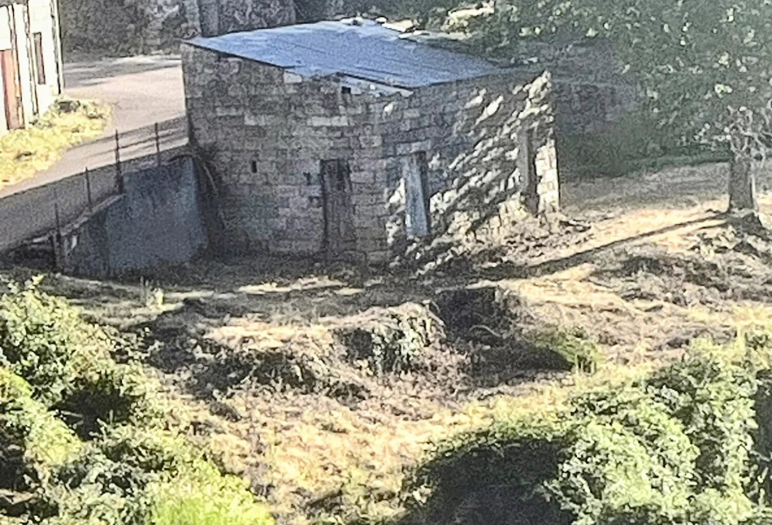 AULLENE — photo 1