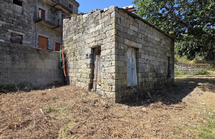 AULLENE — photo 3