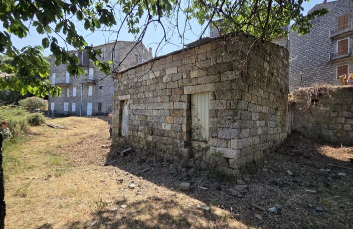 AULLENE — photo 4