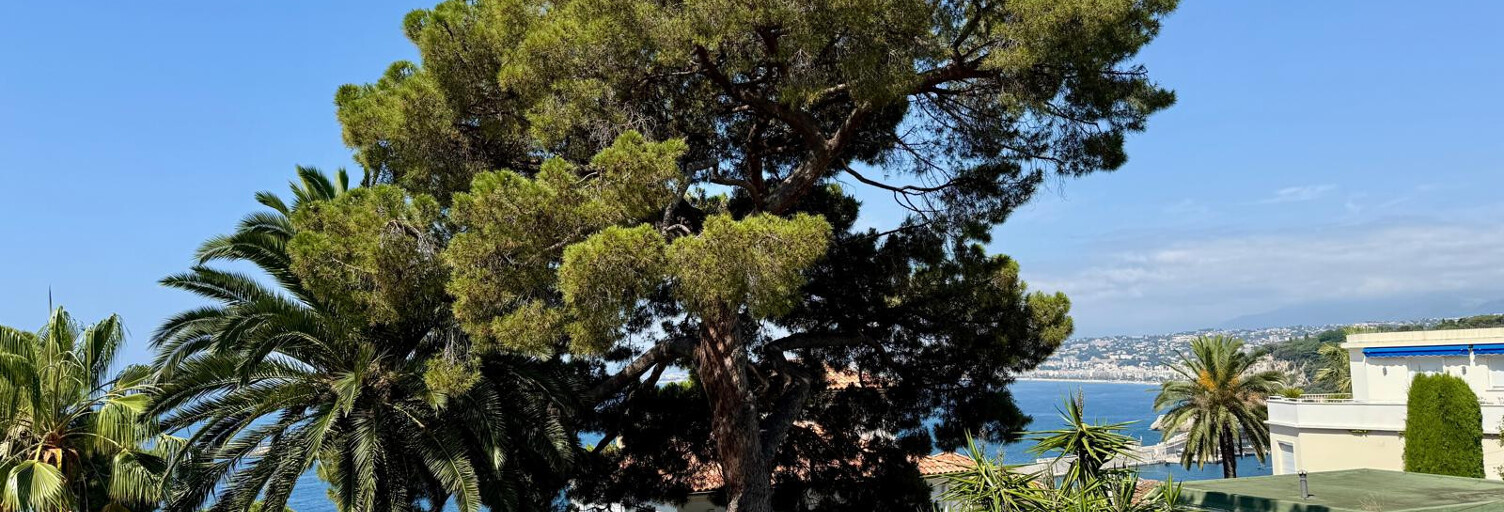 Appartement 3 Pièces 54 m² à vendre à Nice (06000)