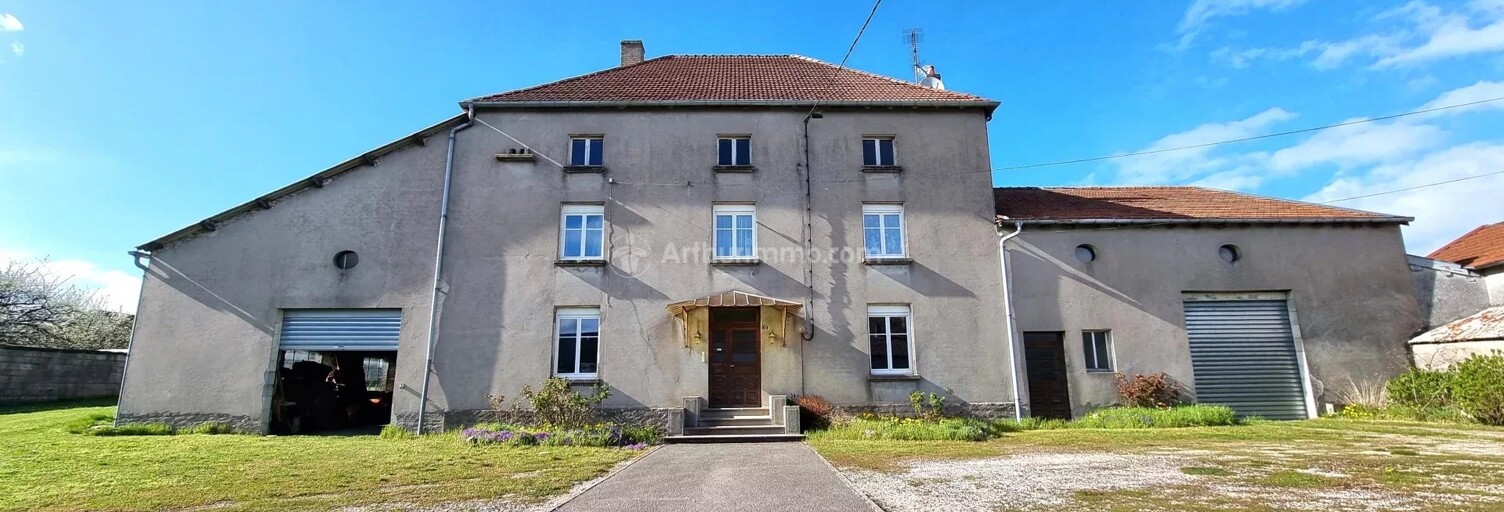 Maison 8 Pièces 293 m² à vendre à Grand (88350)