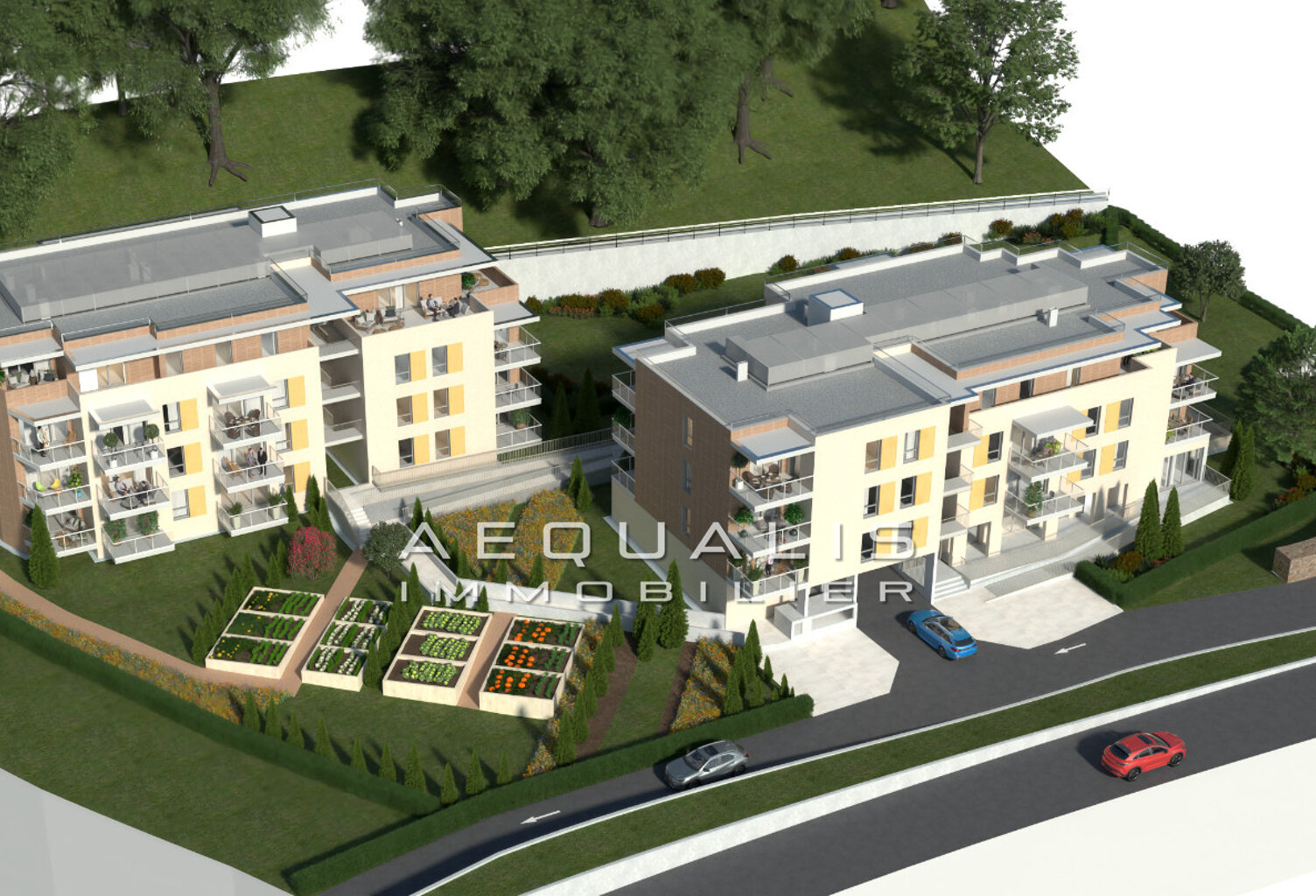 professionnel local commercial — photo 1
