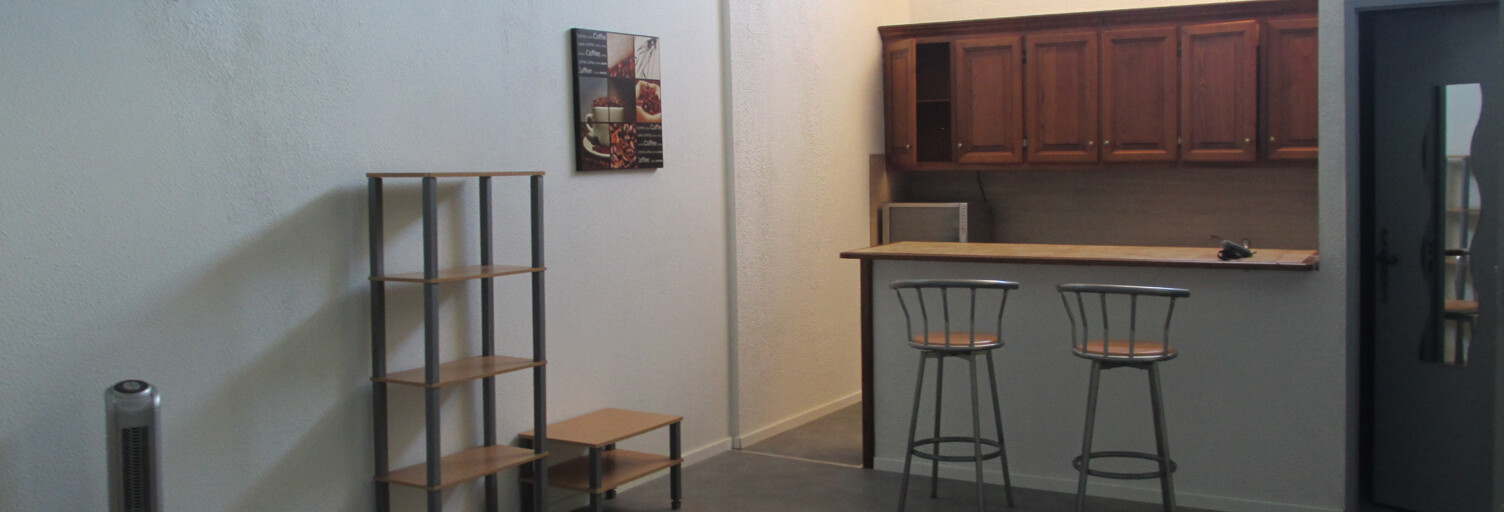 Appartement 1 Pièce 31 m² à louer à Revel (31250)