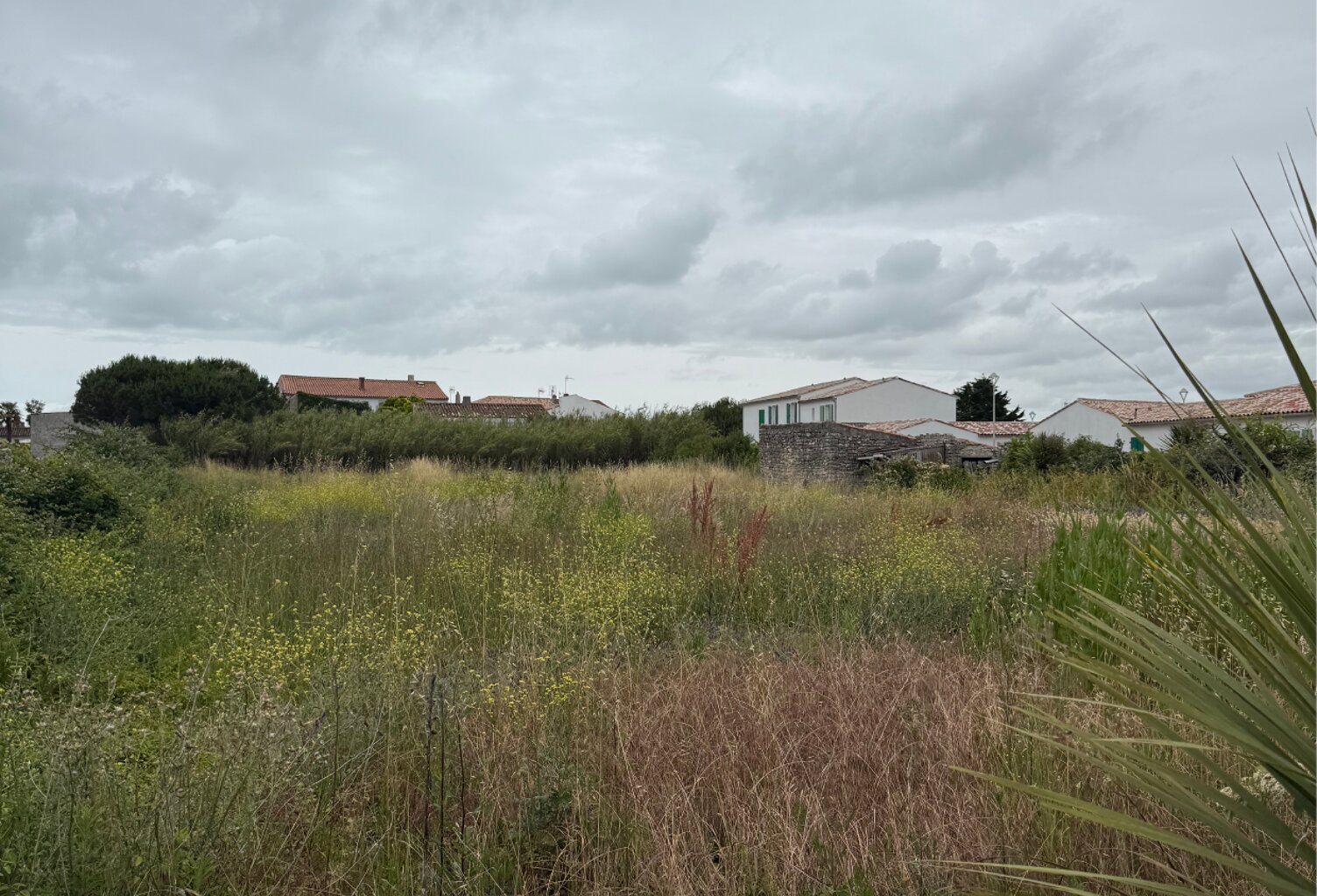 Terrain à vendre — photo 1