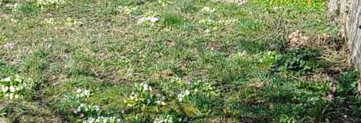 Immeuble  110 m² à vendre à Tinchebray-Bocage (61800)