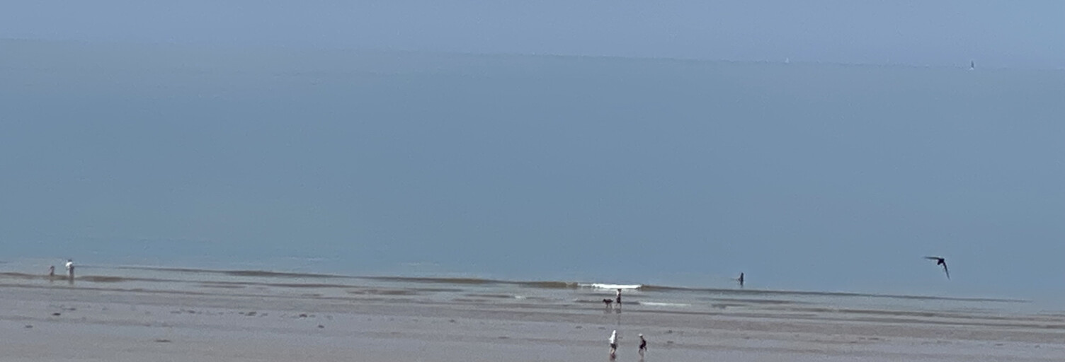 Appartement 3 Pièces 53 m² à vendre à Saint-Jean-de-Monts (85160)