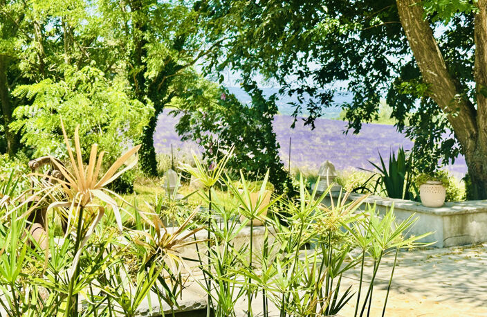 Mas provençal — photo 3