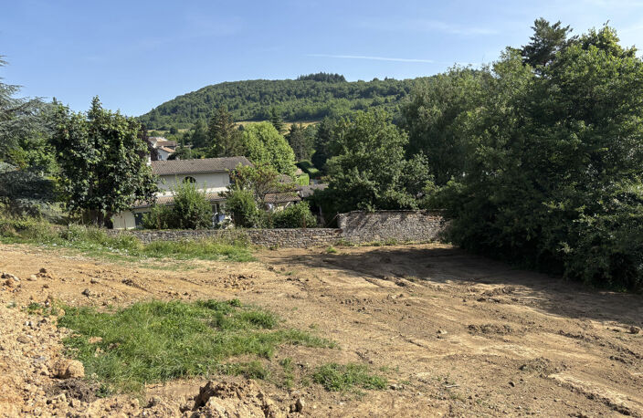 St Didier au Mont d'Or — photo 4