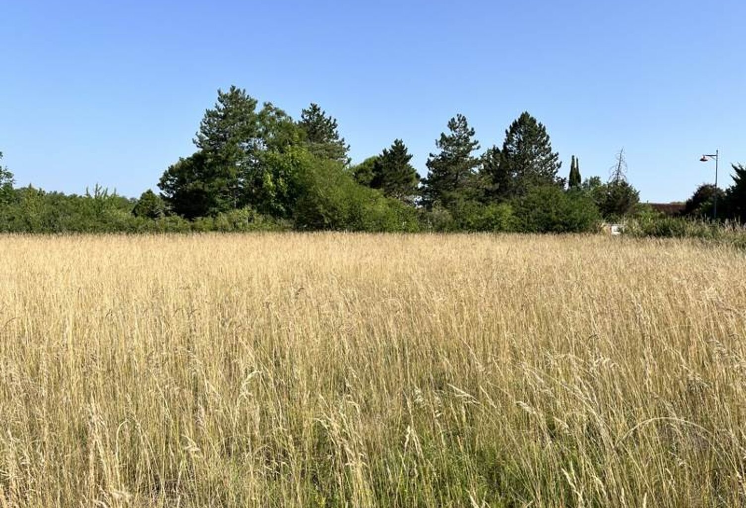 Terrain à bâtir de 0 pièces principales — photo 1