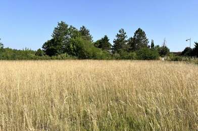 Terrain  56000 €