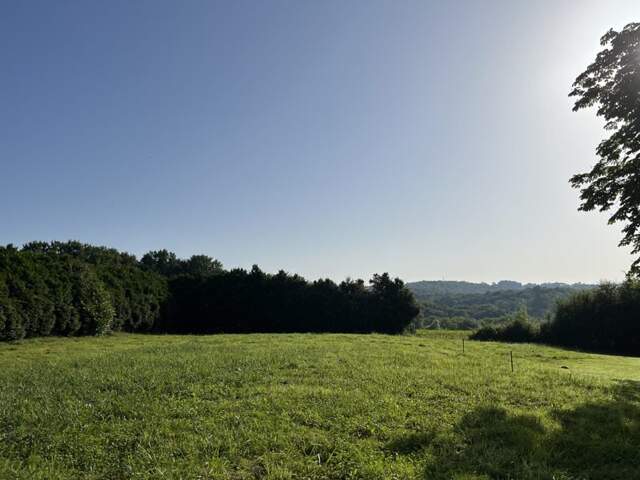 Terrain 1300 m² à Salies-de-Béarn — photo du bien