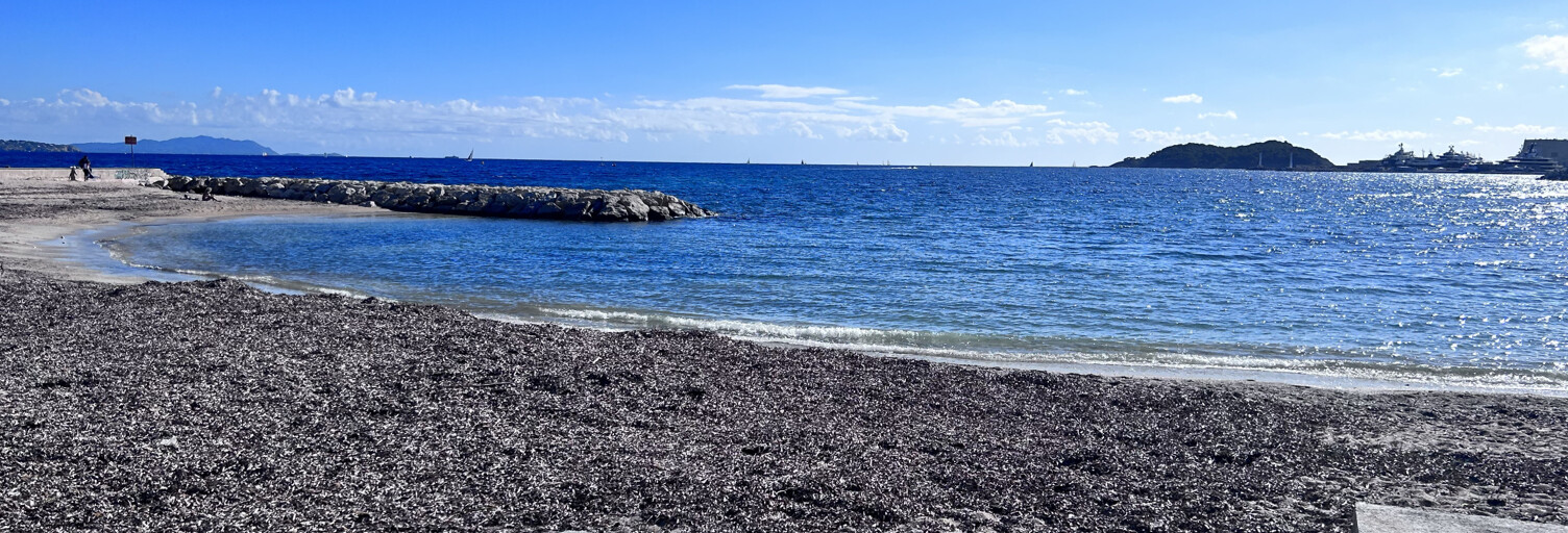 Appartement 2 Pièces 45 m² à vendre à La Ciotat (13600)