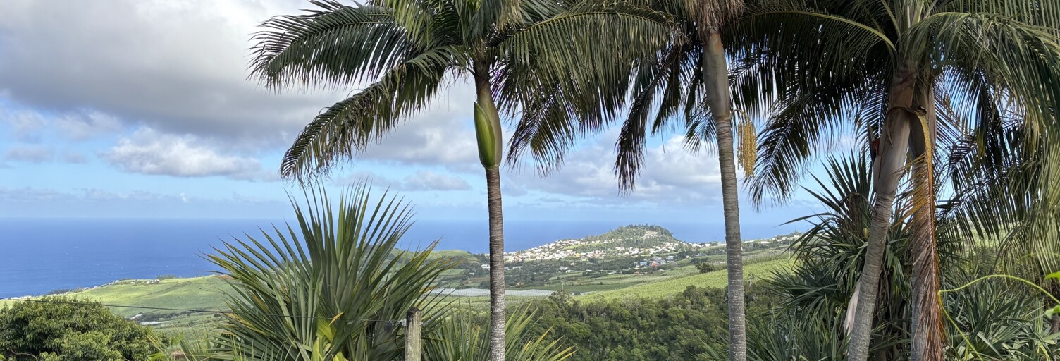 Maison 10 Pièces 268 m² à vendre à Saint-Joseph (97480)