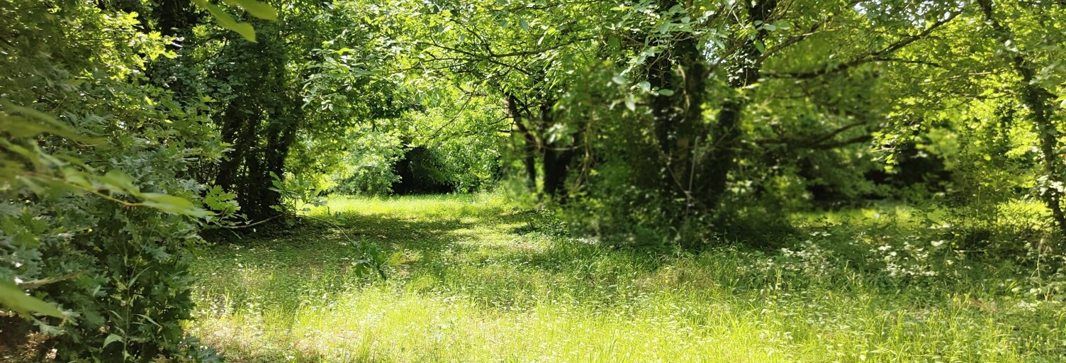 Terrain  2870 m² à vendre à Fongrave (47260)