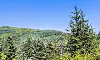 Terrain  3240 m² à vendre à Aulas (30120)