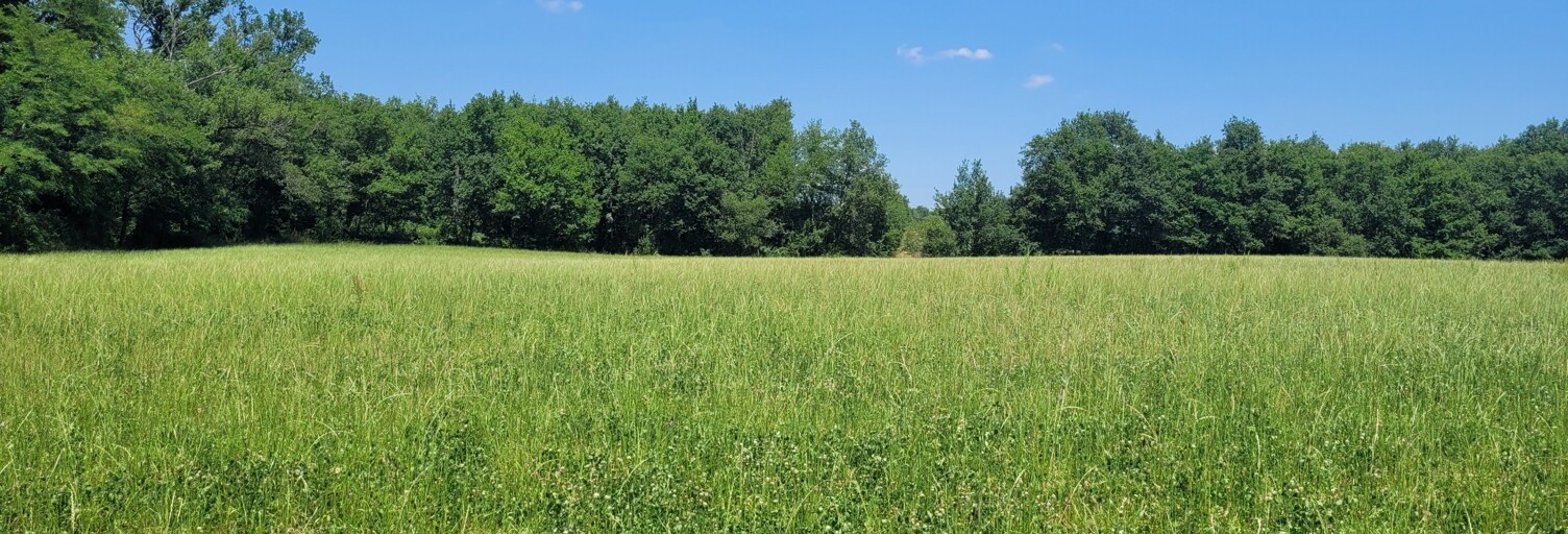 Terrain  11708 m² à vendre à Objat (19130)