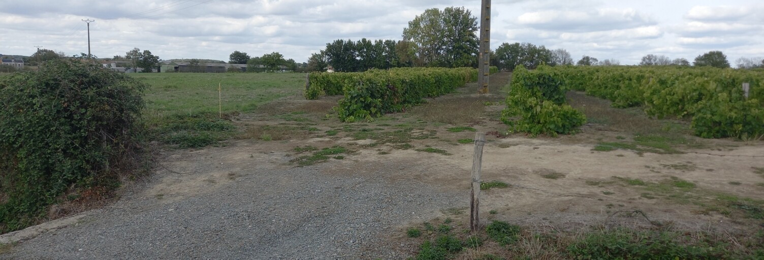 Terrain  10000 m² à vendre à Saint-Cyr-des-Gâts (85410)