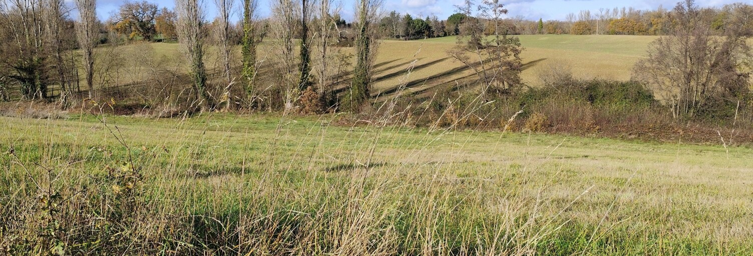 Terrain  5569 m² à vendre à Montesquieu-Guittaut (31230)