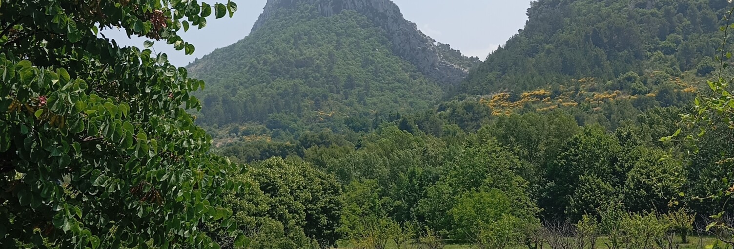 Terrain  11771 m² à vendre à Buis-les-Baronnies (26170)