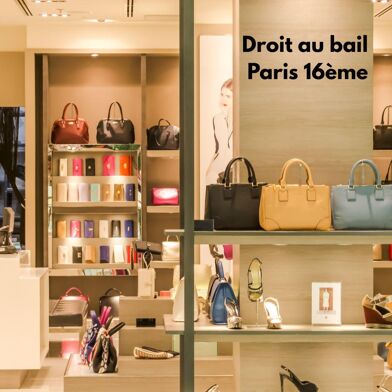 Commerce  330000 €