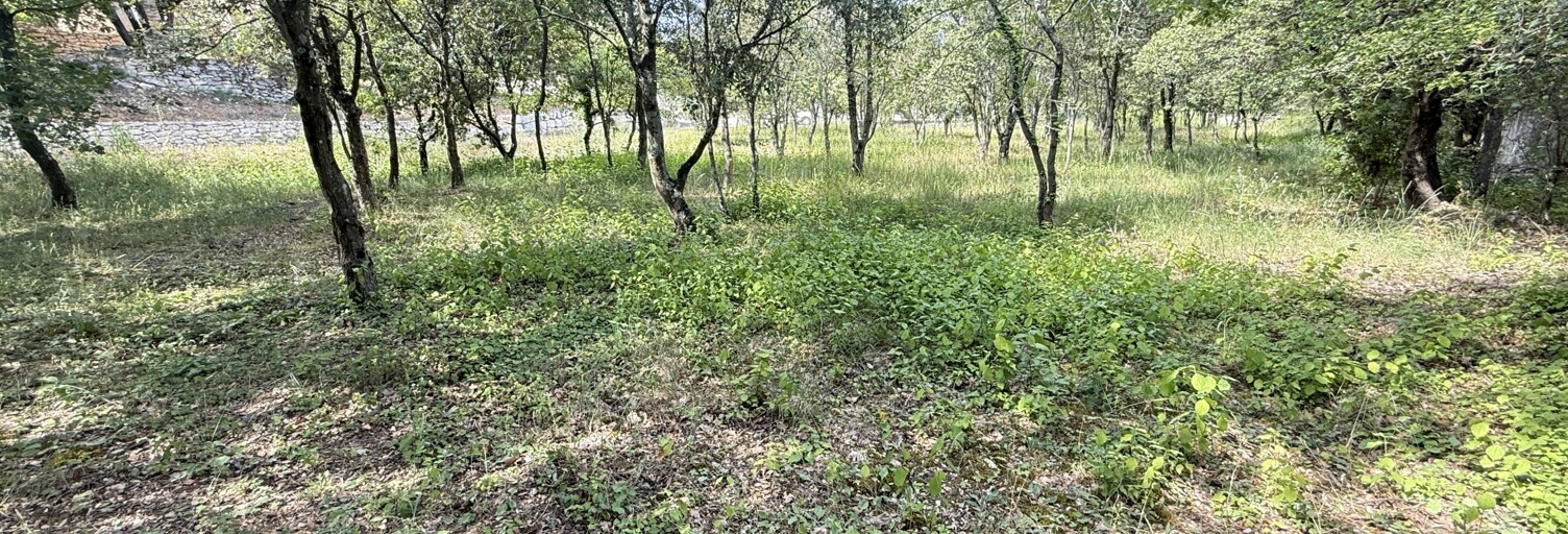 Terrain  2002 m² à vendre à Saint-Restitut (26130)