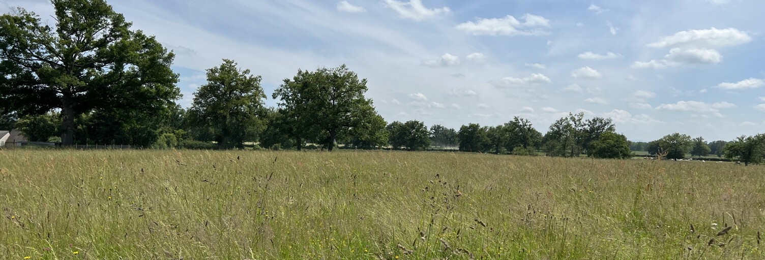 Terrain  3960 m² à vendre à Chassenard (03510)