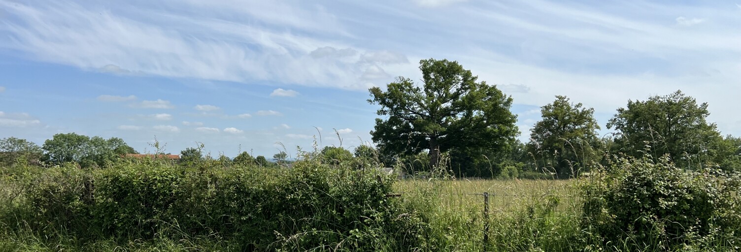 Terrain  1980 m² à vendre à Chassenard (03510)