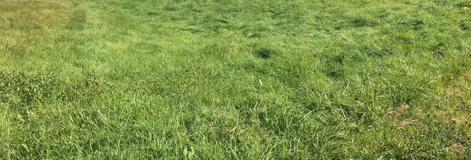 Terrain  2419 m² à vendre à Chavannes-sur-l'Étang (68210)