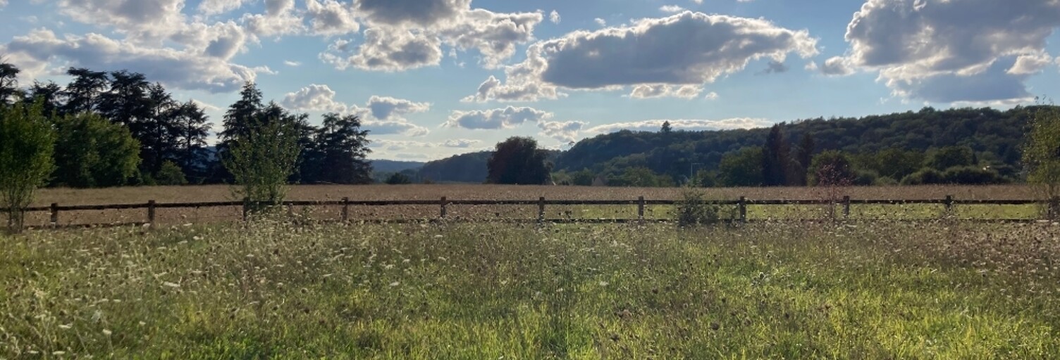 Terrain  2678 m² à vendre à Calviac-en-Périgord (24370)
