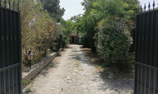 Photo N° 3