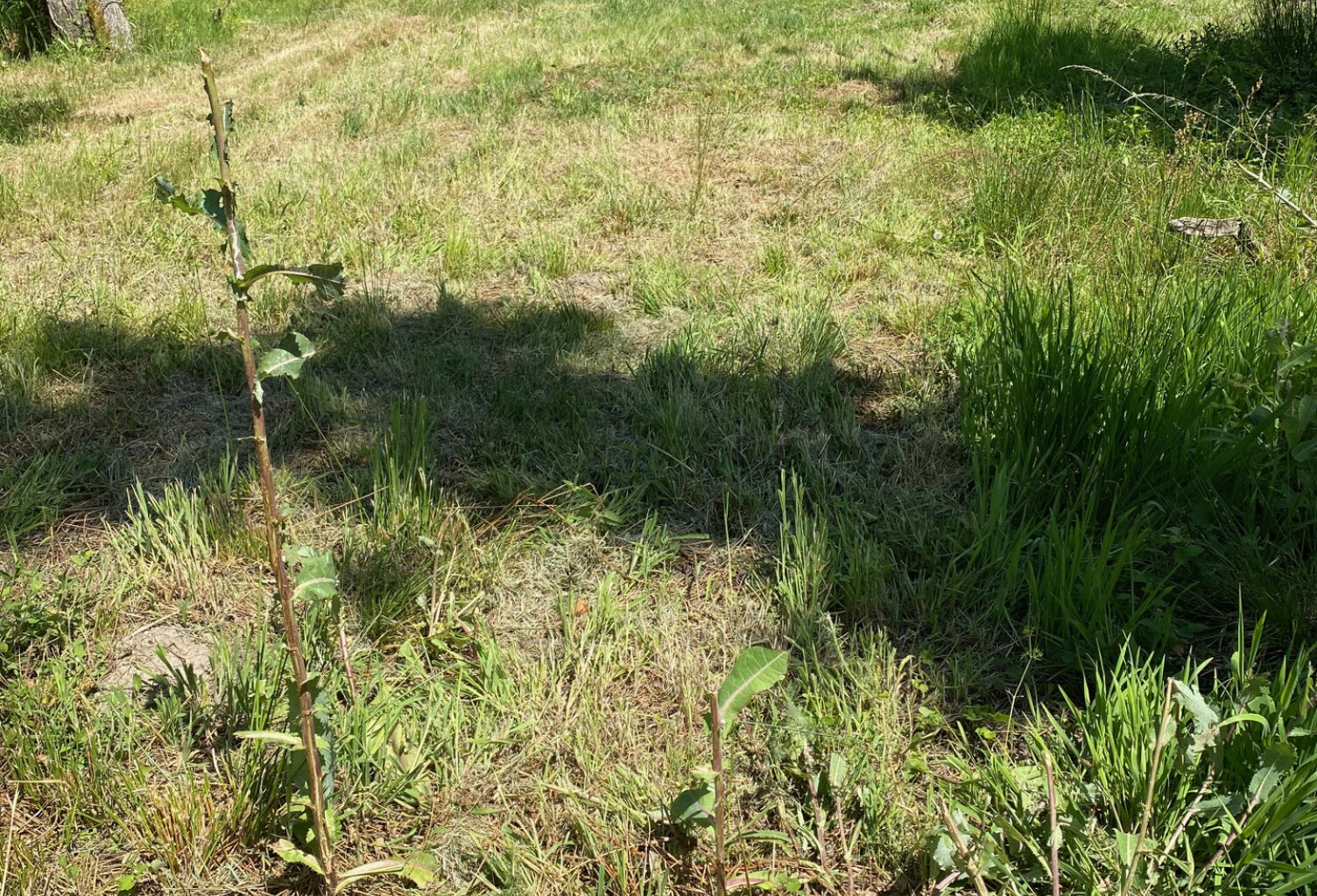 Aux portes de Margaux, dans un petit lotissement de 8 lots, — photo 1